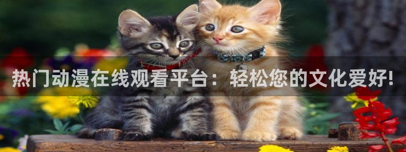 2020里番动漫：热门动漫在线观看平台：轻松您的文化爱好!
