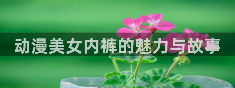 里番动漫排行：动漫美女内裤的魅力与故事