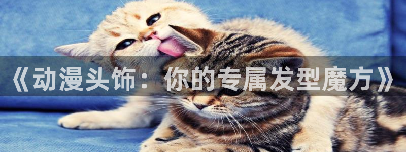 色里番动漫：《动漫头饰：你的专属发型魔方》