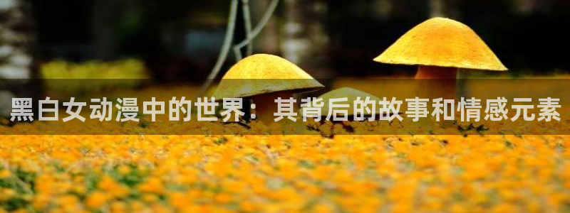 口工里番漫画：黑白女动漫中的世界：其背后的故事和情感元素