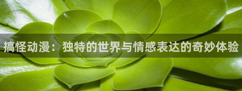 里番漫在线观看：搞怪动漫：独特的世界与情感表达的奇妙体验