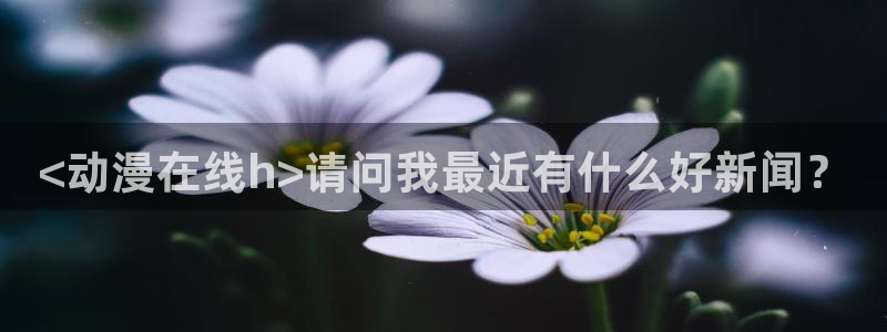里番成人动漫：<动漫在线h>请问我最近有什么好新闻？