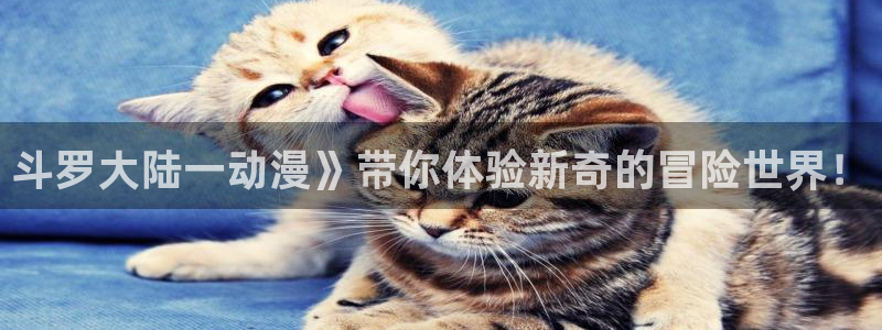 成人里番漫画：斗罗大陆一动漫》带你体验新奇的冒险世界！