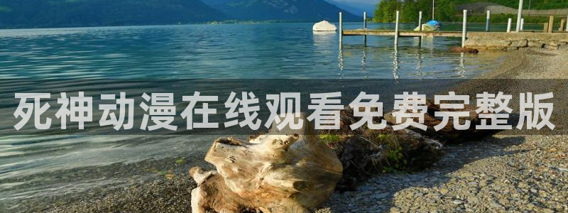 里番h动漫在线观看：死神动漫在线观看免费完整版