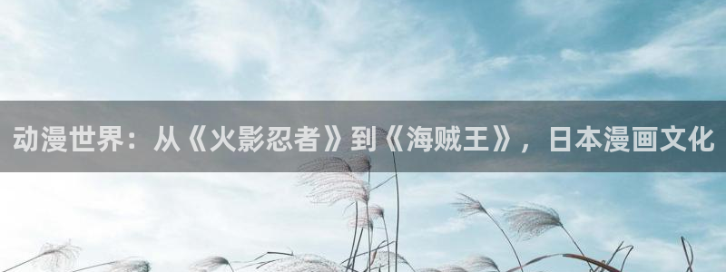 里番肉肉漫画：动漫世界：从《火影忍者》到《海贼王》，日本漫画文化
