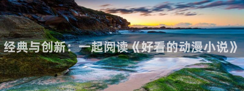 触手动漫里番：经典与创新：一起阅读《好看的动漫小说》