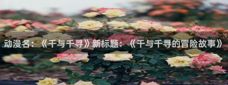 里番动漫电影网：动漫名：《千与千寻》新标题：《千与千寻的冒险故事》