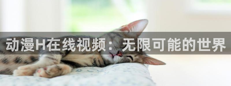动漫里番去哪看：动漫H在线视频：无限可能的世界