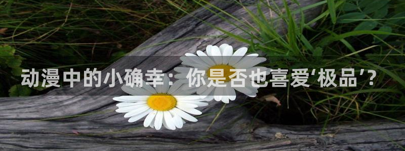 免费看里番动漫：动漫中的小确幸：你是否也喜爱‘极品’？